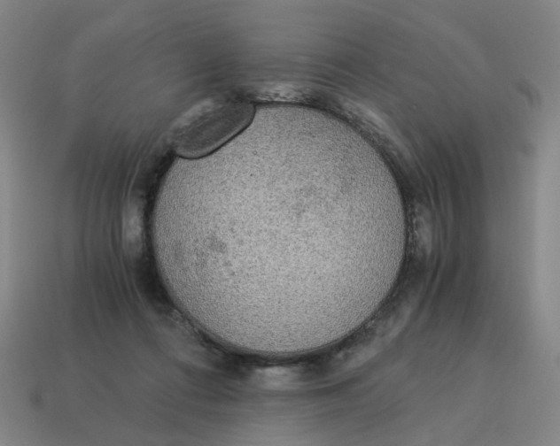 X0000114500312200911091115
