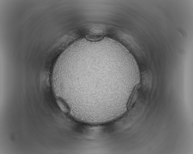 X0000114500313200911091115