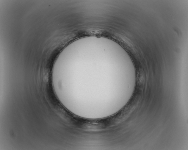 X0000114500315200911091115