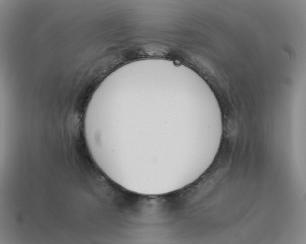 X0000114500321200911091115