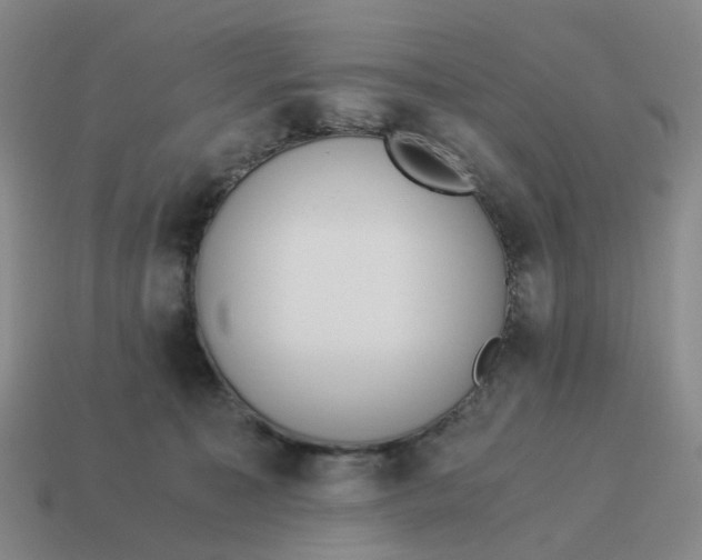 X0000114500323200911091115