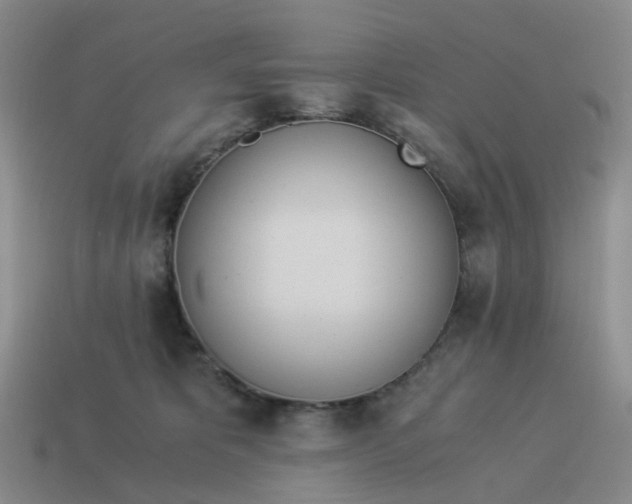 X0000114500325200911091115