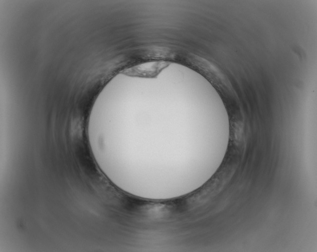 X0000114500326200911091115