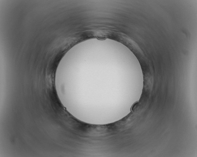 X0000114500329200911091115