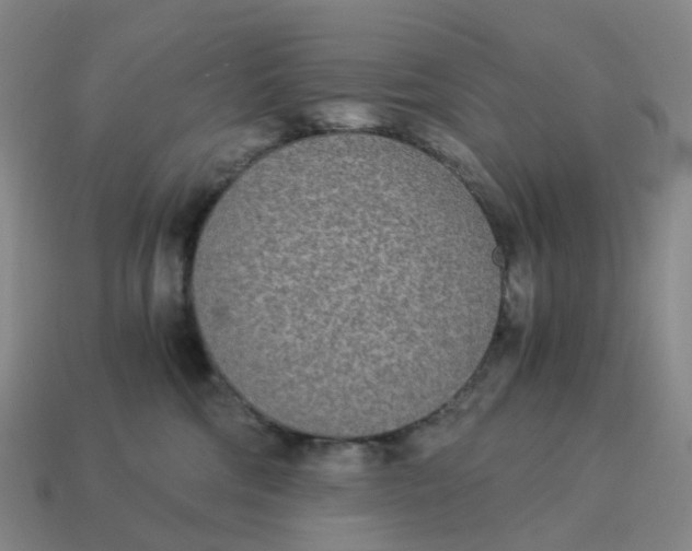 X0000114500330200911091115