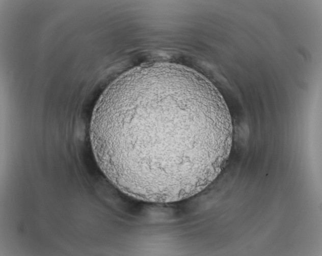 X0000114500331200911091115