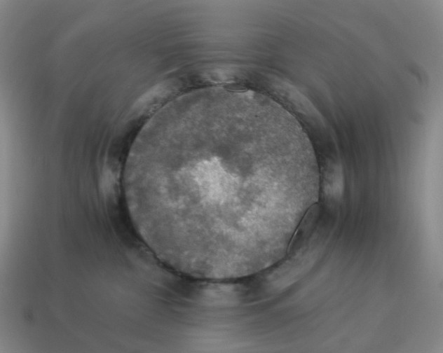 X0000114500332200911091115