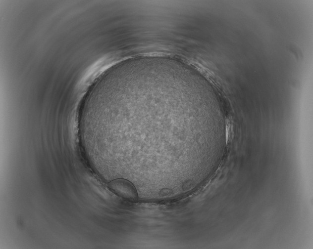 X0000114500339200911091114