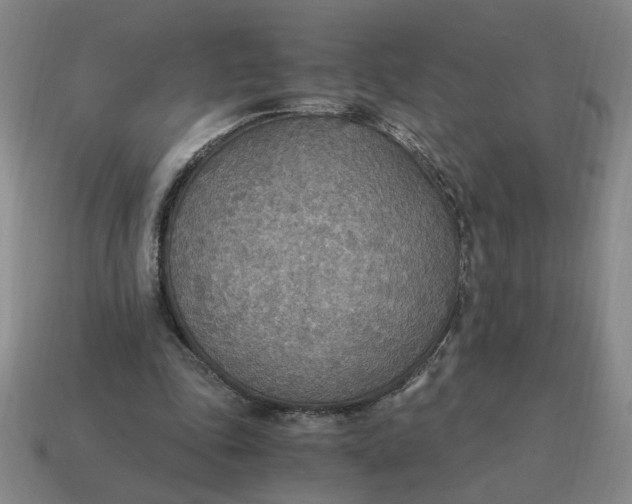 X0000114500343200911091114