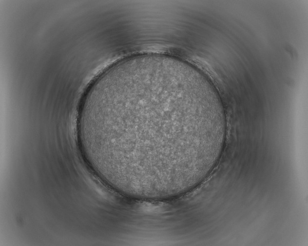 X0000114500346200911091114
