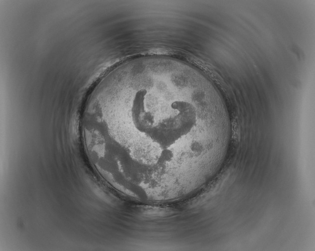 X0000114500347200911091114