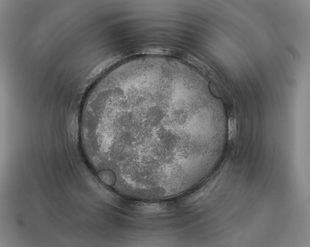 X0000114500349200911091114