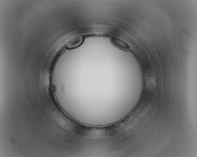 X0000114500350200911091114