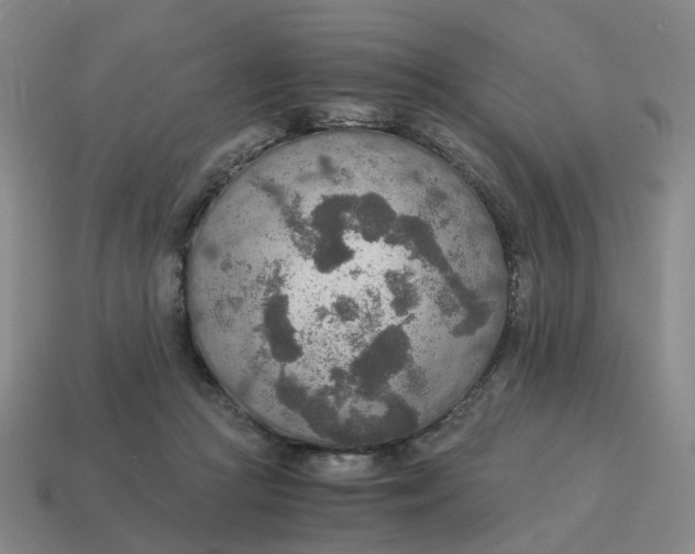 X0000114500361200911091114
