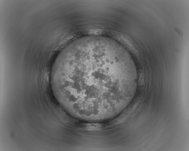X0000114500363200911091114