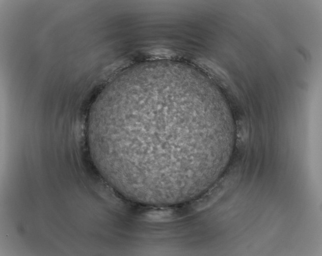 X0000114500369200911091114
