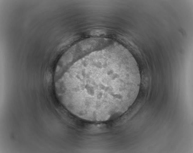 X0000114500375200911091114