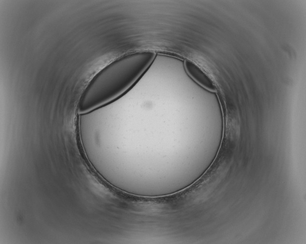 X0000114500389200911091114