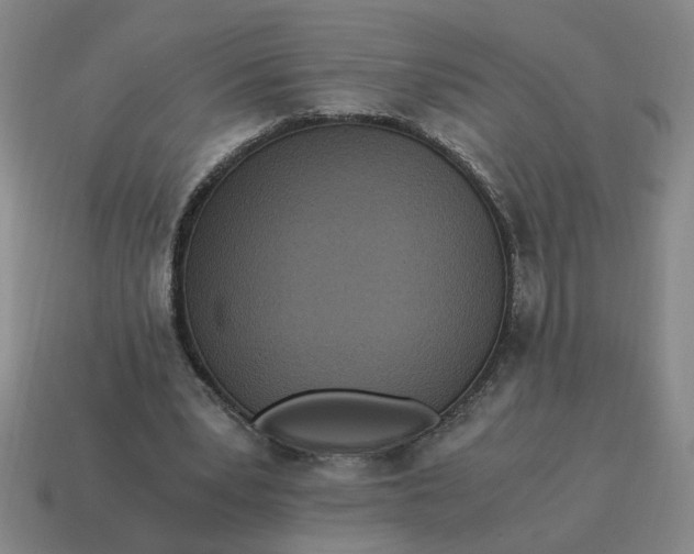 X0000114500391200911091114