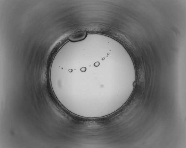 X0000114500392200911091114