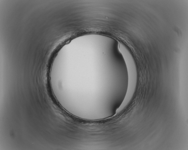 X0000114500395200911091114