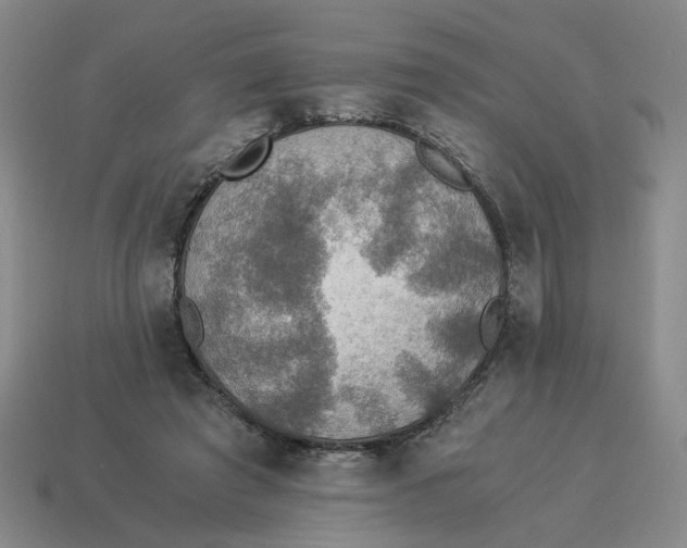 X0000114500401200911091114
