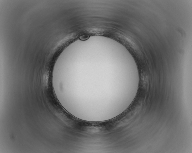 X0000114500404200911091114