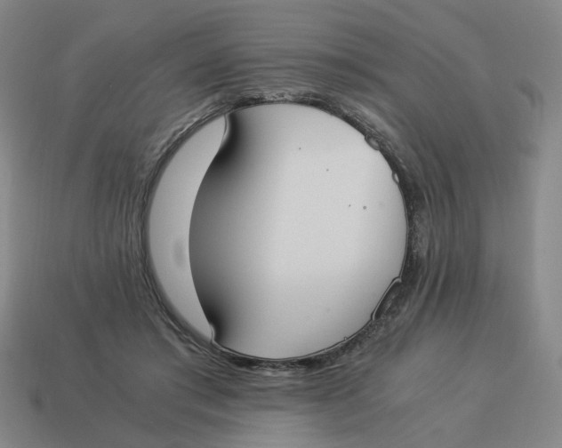 X0000114500405200911091114