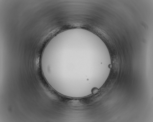 X0000114500406200911091114