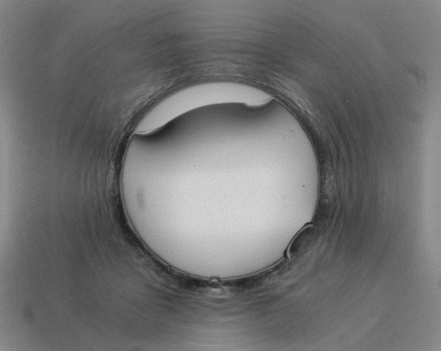 X0000114500411200911091114