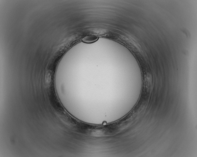 X0000114500412200911091113