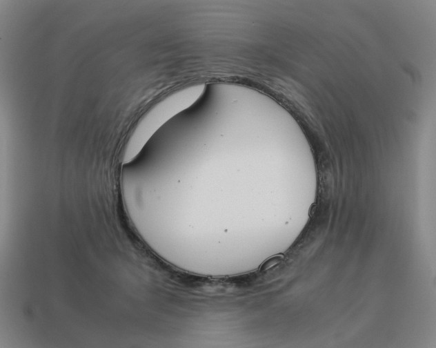 X0000114500415200911091113