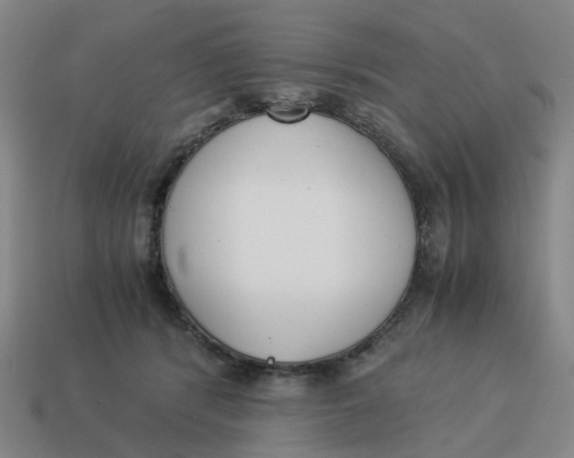 X0000114500416200911091113