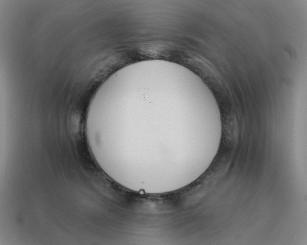 X0000114500420200911091113