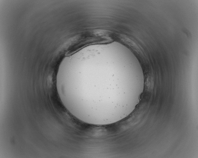 X0000114500424200911091113