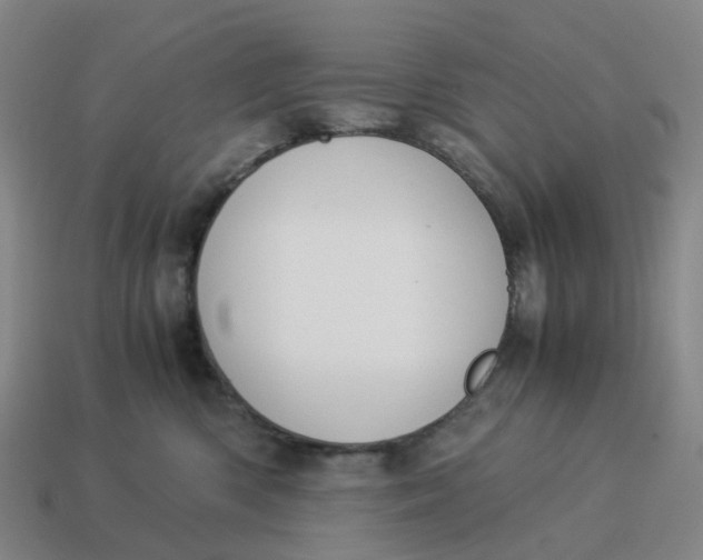 X0000114500426200911091113
