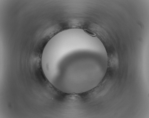 X0000114500427200911091113
