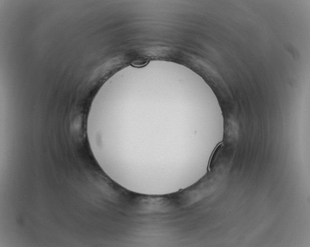 X0000114500428200911091113
