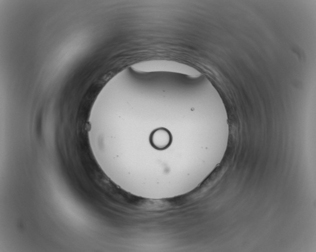 X0000114500429200911091113
