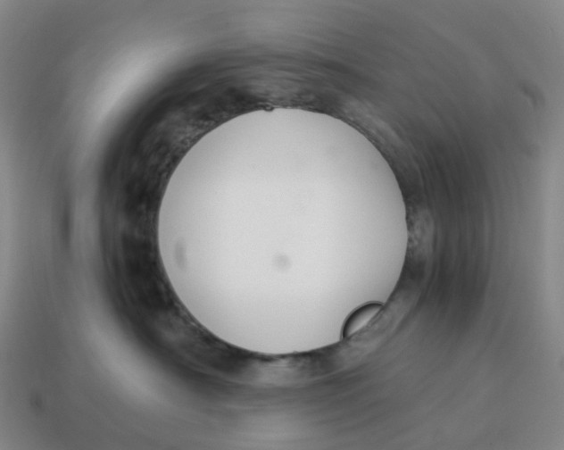 X0000114500430200911091113