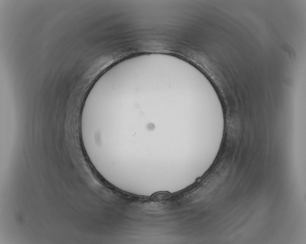 X0000114500433200911091113
