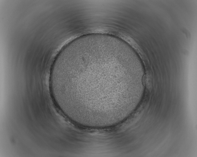 X0000114500434200911091113