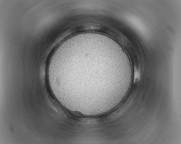X0000114500435200911091113
