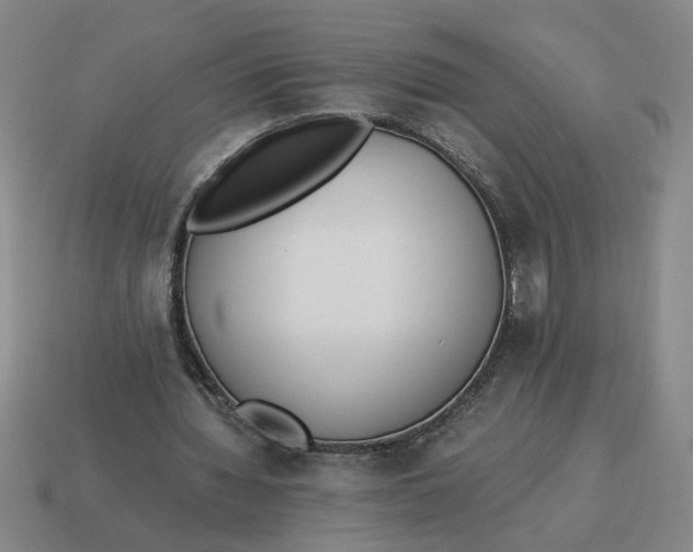 X0000114500436200911091113