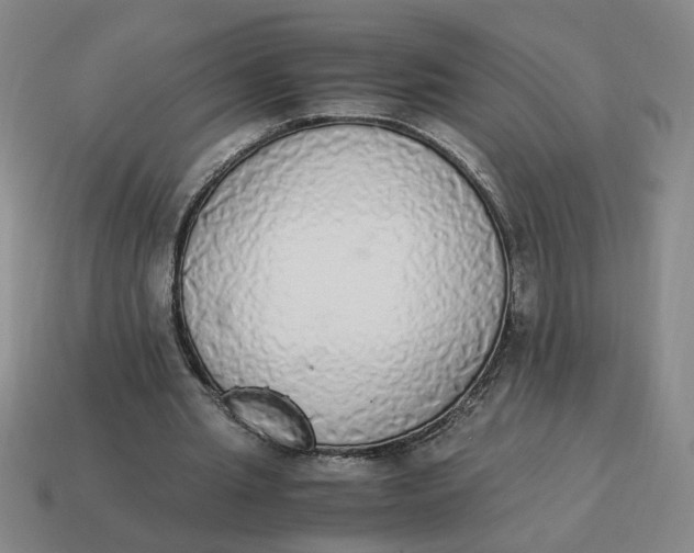 X0000114500437200911091113