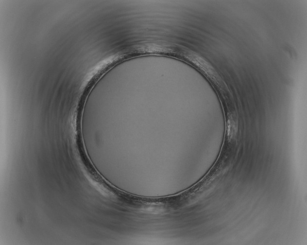 X0000114500438200911091113