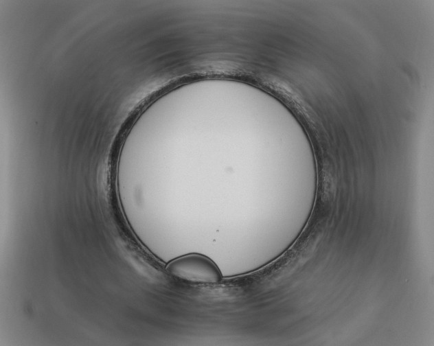 X0000114500439200911091113