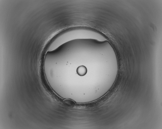 X0000114500440200911091113