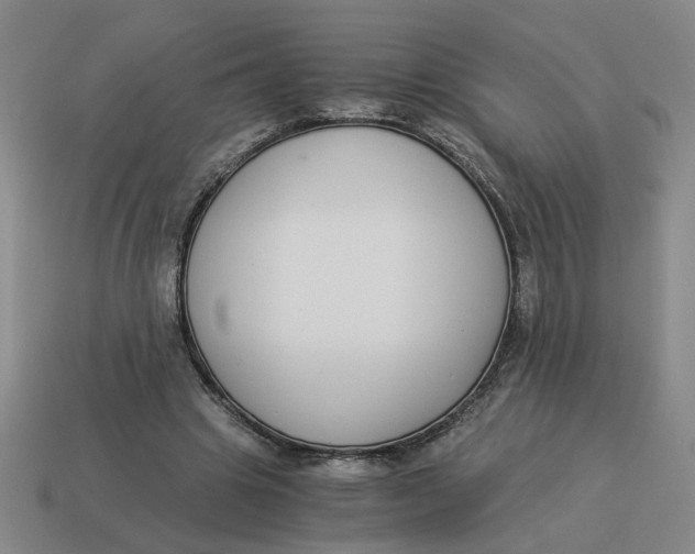 X0000114500441200911091113