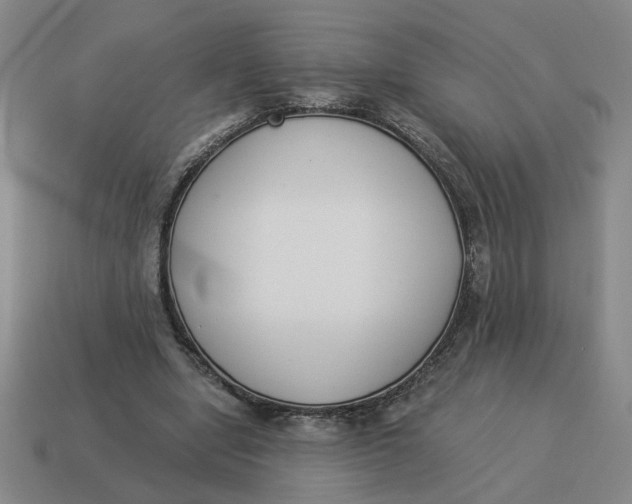 X0000114500442200911091113